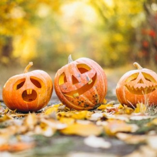 Three smiling jack-o-lanterns sit amongst bright golden leaves.
